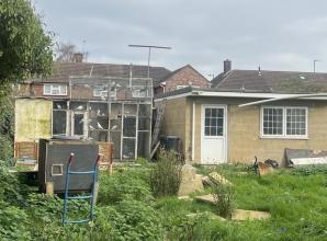 Couple fined and forced to pay £6,000 for having 100 pigeons housed in their garden