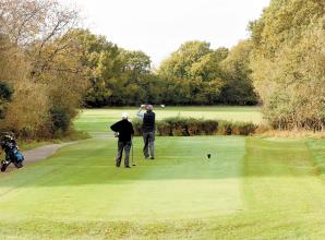 Advertiser review of the year 2024: February