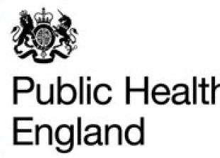 'Substantial increase' in scarlet fever cases