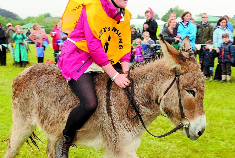 Twyford Donkey Derby 2012