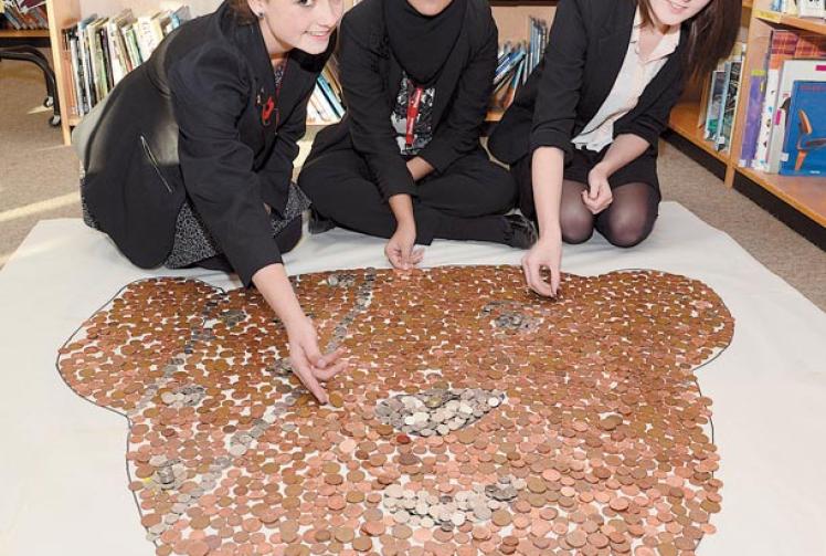Burnham Grammar pupils raise &pound;1,300 for charities