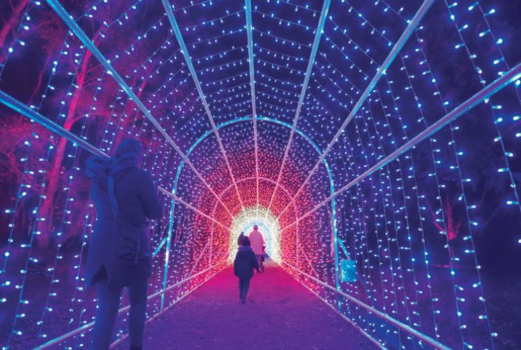 Must-see festive tradition for all ages returns to Windsor Great Park