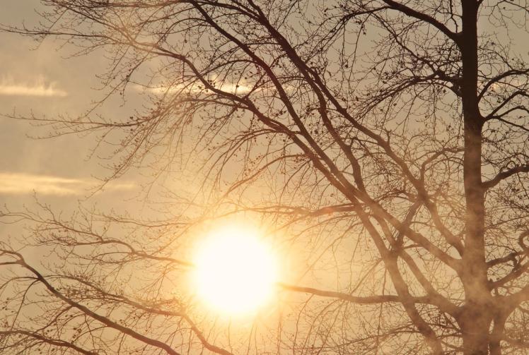 2025: Maidenhead records sunniest year since the 1950s