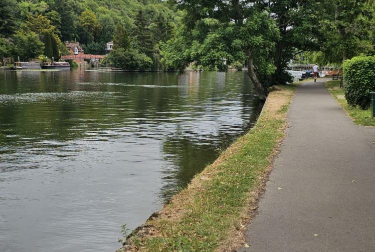 Mooring charges set to be reduced during Henley Royal Regatta after users fall