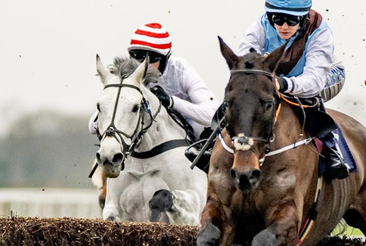 Live racing and countryside entertainment as Berkshire Winter Millions returns