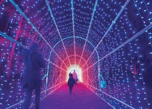 Must-see festive tradition for all ages returns to Windsor Great Park Must-see festive tradition for all ages returns to Windsor Great Park