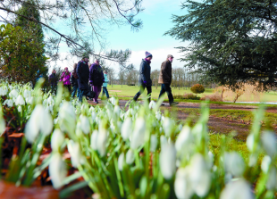 Major restoration planned at 'hidden gem' memorial gardens