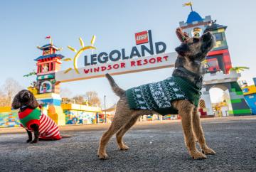 Em-bark on festive fun: Legoland unleashes first ever dog-friendly days Em-bark on festive fun: Legoland unleashes first ever dog-friendly days