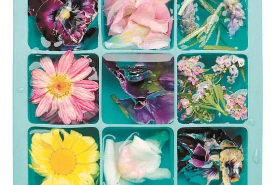 How to show off your home-grown flowers in ice cubes for summer parties How to show off your home-grown flowers in ice cubes for summer parties